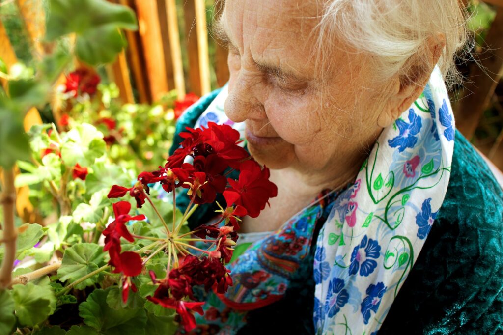 Giardino sicuro per nonni: come realizzarlo